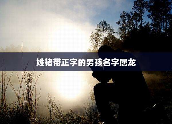 姓褚带正字的男孩名字属龙