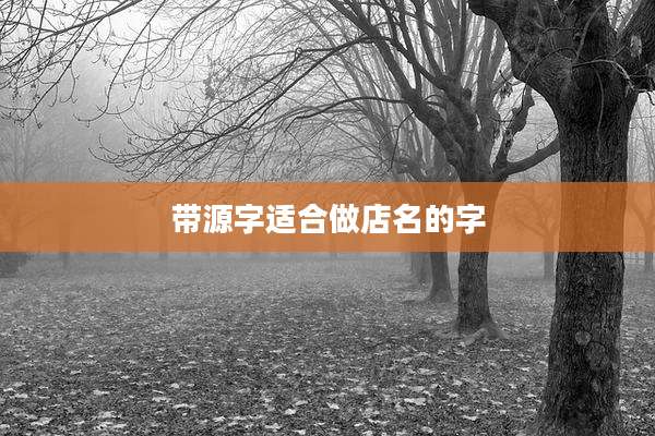带源字适合做店名的字