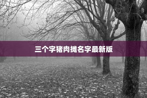 三个字猪肉摊名字最新版