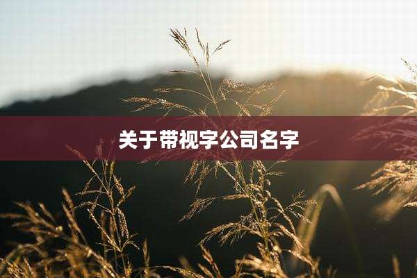 关于带视字公司名字