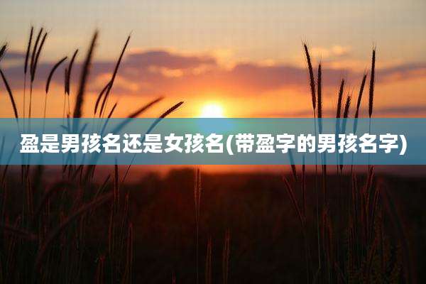 盈是男孩名还是女孩名(带盈字的男孩名字)