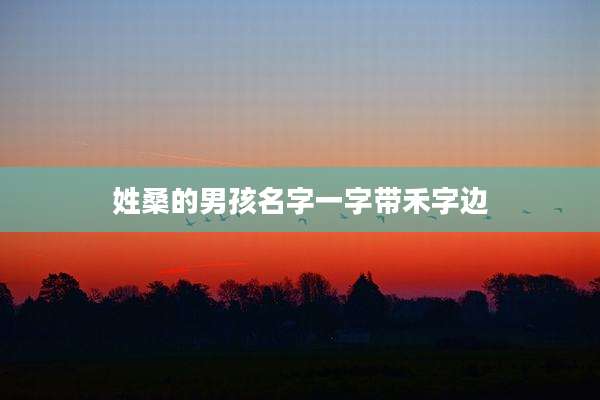 姓桑的男孩名字一字带禾字边