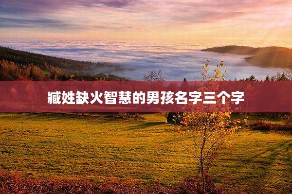 臧姓缺火智慧的男孩名字三个字
