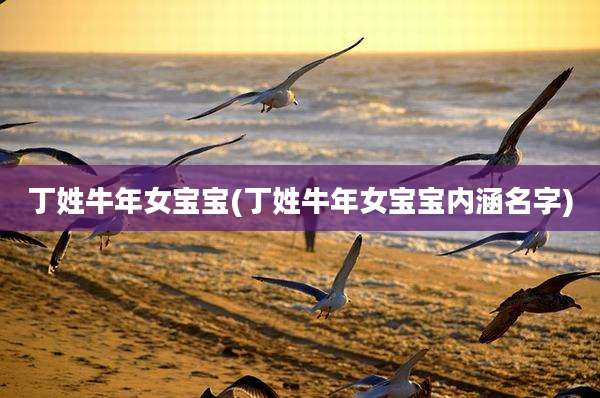 丁姓牛年女宝宝(丁姓牛年女宝宝内涵名字)