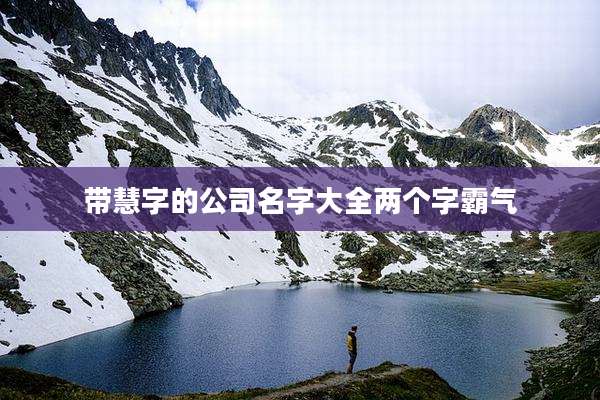 带慧字的公司名字大全两个字霸气