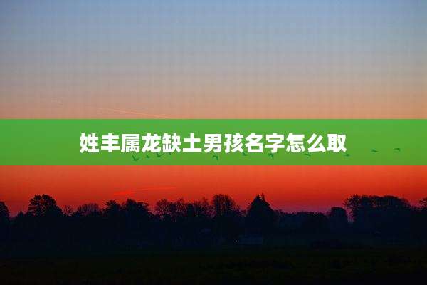 姓丰属龙缺土男孩名字怎么取
