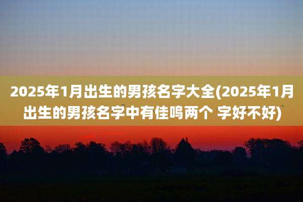 2025年1月出生的男孩名字大全(2025年1月出生的男孩名字中有佳鸣两个 字好不好)