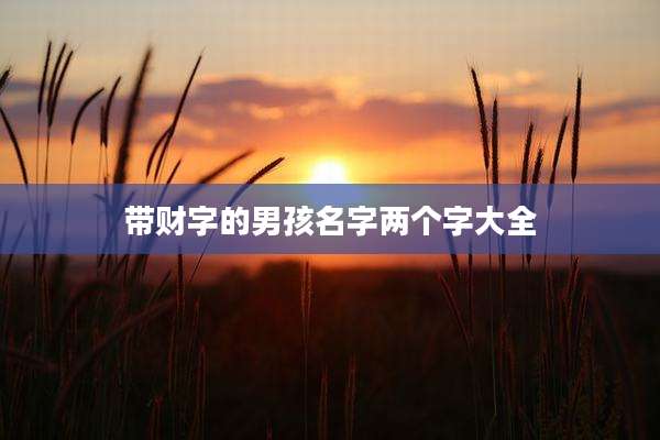 带财字的男孩名字两个字大全