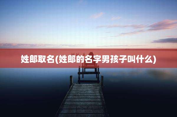 姓郎取名(姓郎的名字男孩子叫什么)