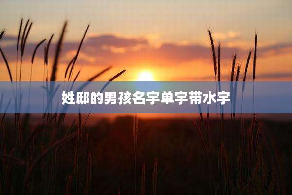 姓邸的男孩名字单字带水字