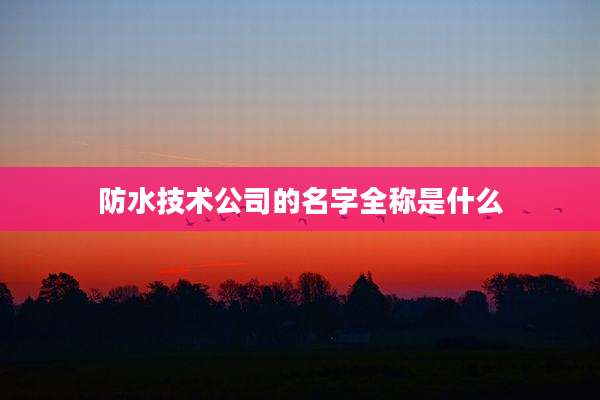 防水技术公司的名字全称是什么