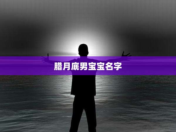腊月底男宝宝名字