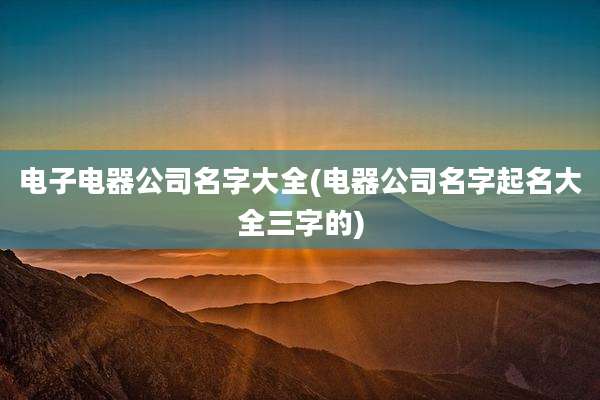 电子电器公司名字大全(电器公司名字起名大全三字的)