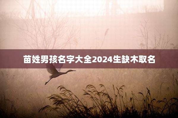 苗姓男孩名字大全2024生缺木取名