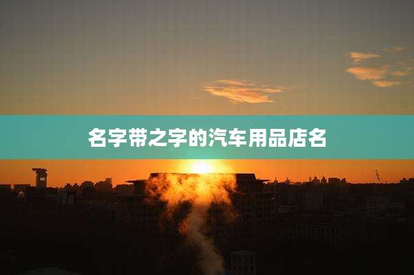 名字带之字的汽车用品店名