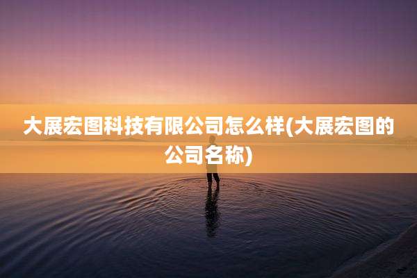 大展宏图科技有限公司怎么样(大展宏图的公司名称)