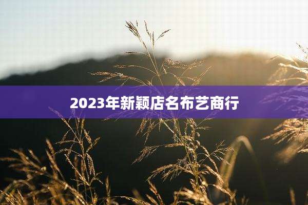 2023年新颖店名布艺商行