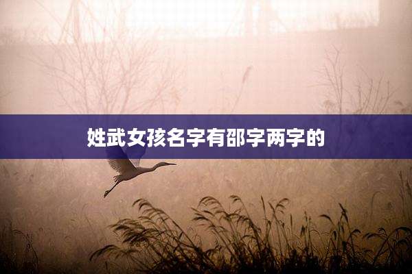 姓武女孩名字有邵字两字的