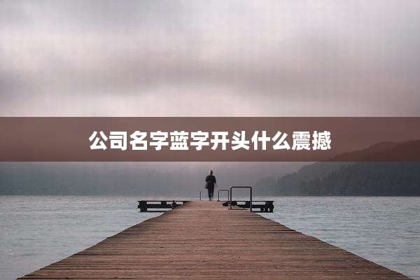 公司名字蓝字开头什么震撼