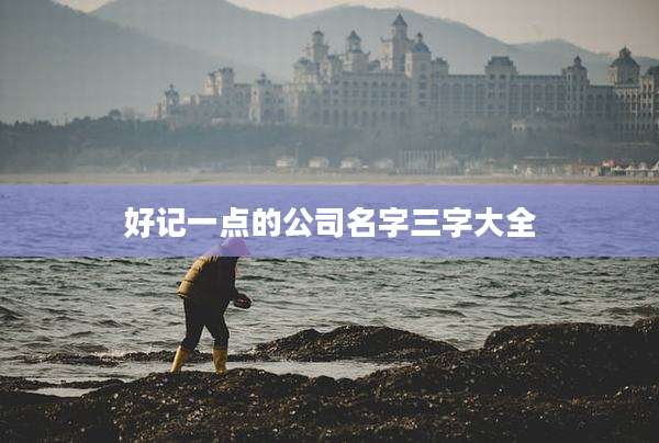好记一点的公司名字三字大全