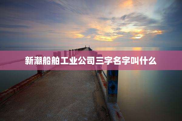新潮船舶工业公司三字名字叫什么
