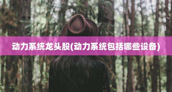 动力系统龙头股(动力系统包括哪些设备)