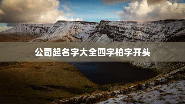 公司起名字大全四字柏字开头