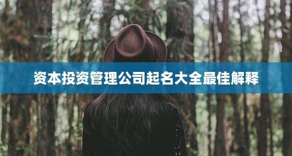 资本投资管理公司起名大全最佳解释