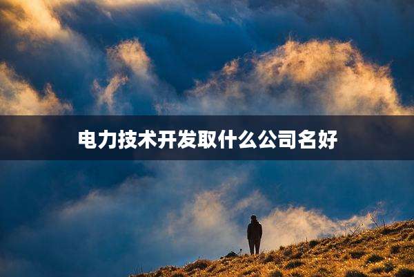 电力技术开发取什么公司名好