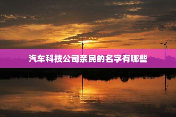 汽车科技公司亲民的名字有哪些