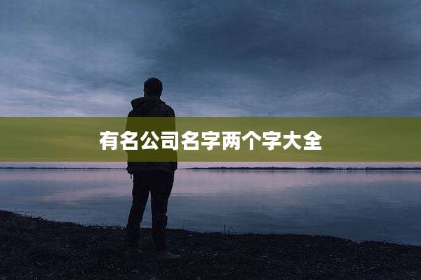 有名公司名字两个字大全
