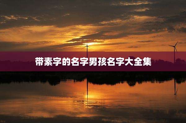 带素字的名字男孩名字大全集