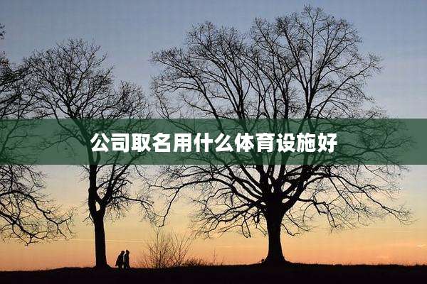 公司取名用什么体育设施好