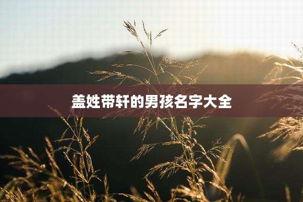 盖姓带轩的男孩名字大全