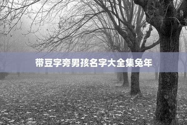 带豆字旁男孩名字大全集兔年