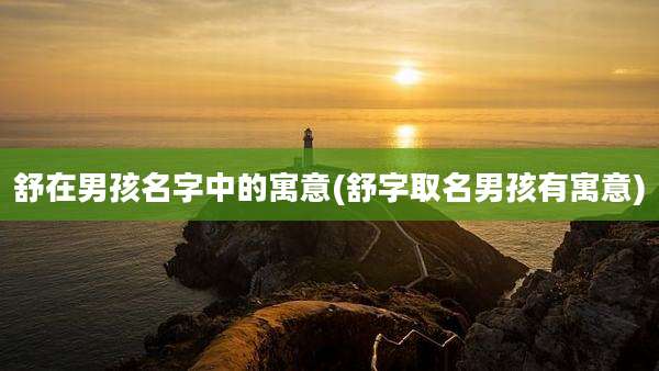 舒在男孩名字中的寓意(舒字取名男孩有寓意)