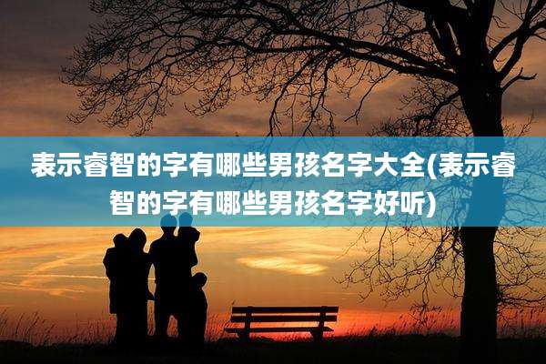 表示睿智的字有哪些男孩名字大全(表示睿智的字有哪些男孩名字好听)