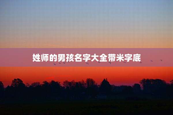 姓师的男孩名字大全带米字底