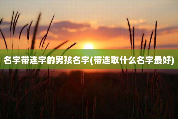 名字带连字的男孩名字(带连取什么名字最好)