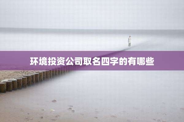 环境投资公司取名四字的有哪些