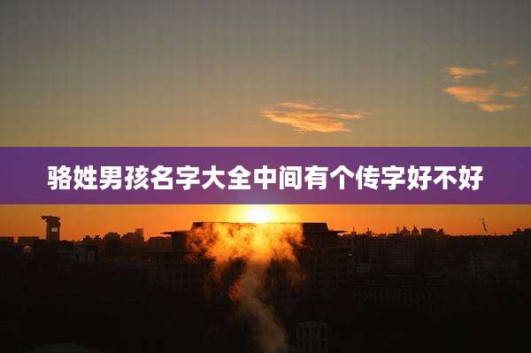 骆姓男孩名字大全中间有个传字好不好