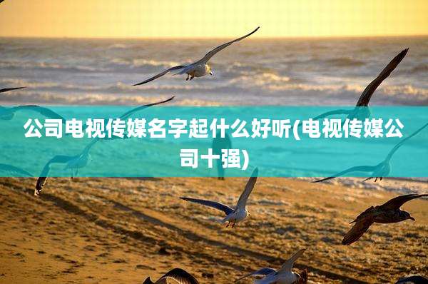 公司电视传媒名字起什么好听(电视传媒公司十强)