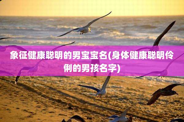 象征健康聪明的男宝宝名(身体健康聪明伶俐的男孩名字)