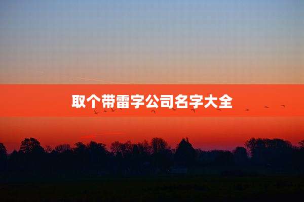 取个带雷字公司名字大全