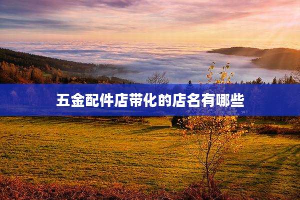 五金配件店带化的店名有哪些