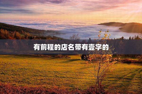 有前程的店名带有壹字的