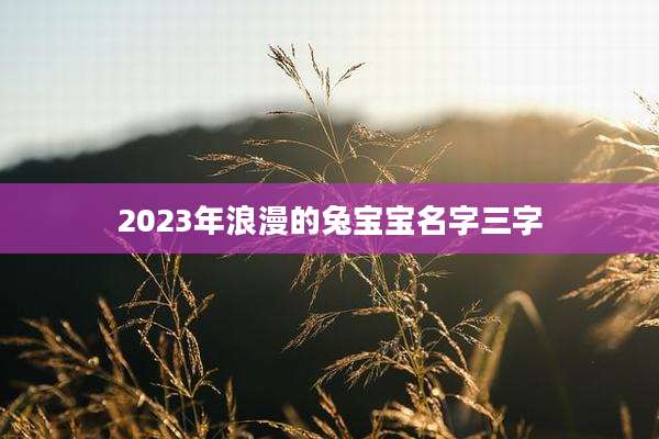 2023年浪漫的兔宝宝名字三字