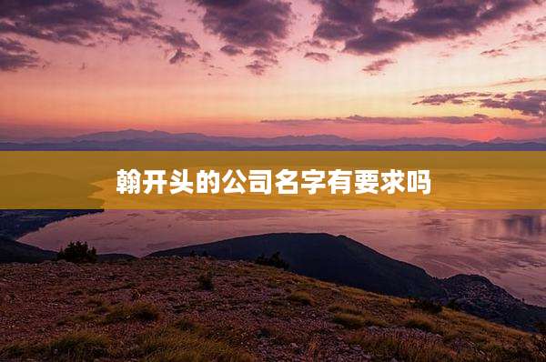 翰开头的公司名字有要求吗
