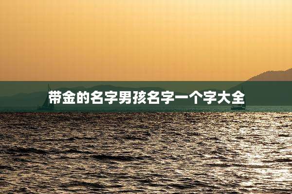 带金的名字男孩名字一个字大全