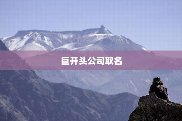 巨开头公司取名